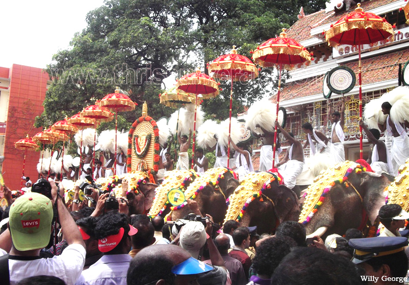 thrissur-pooram-2011- (32)